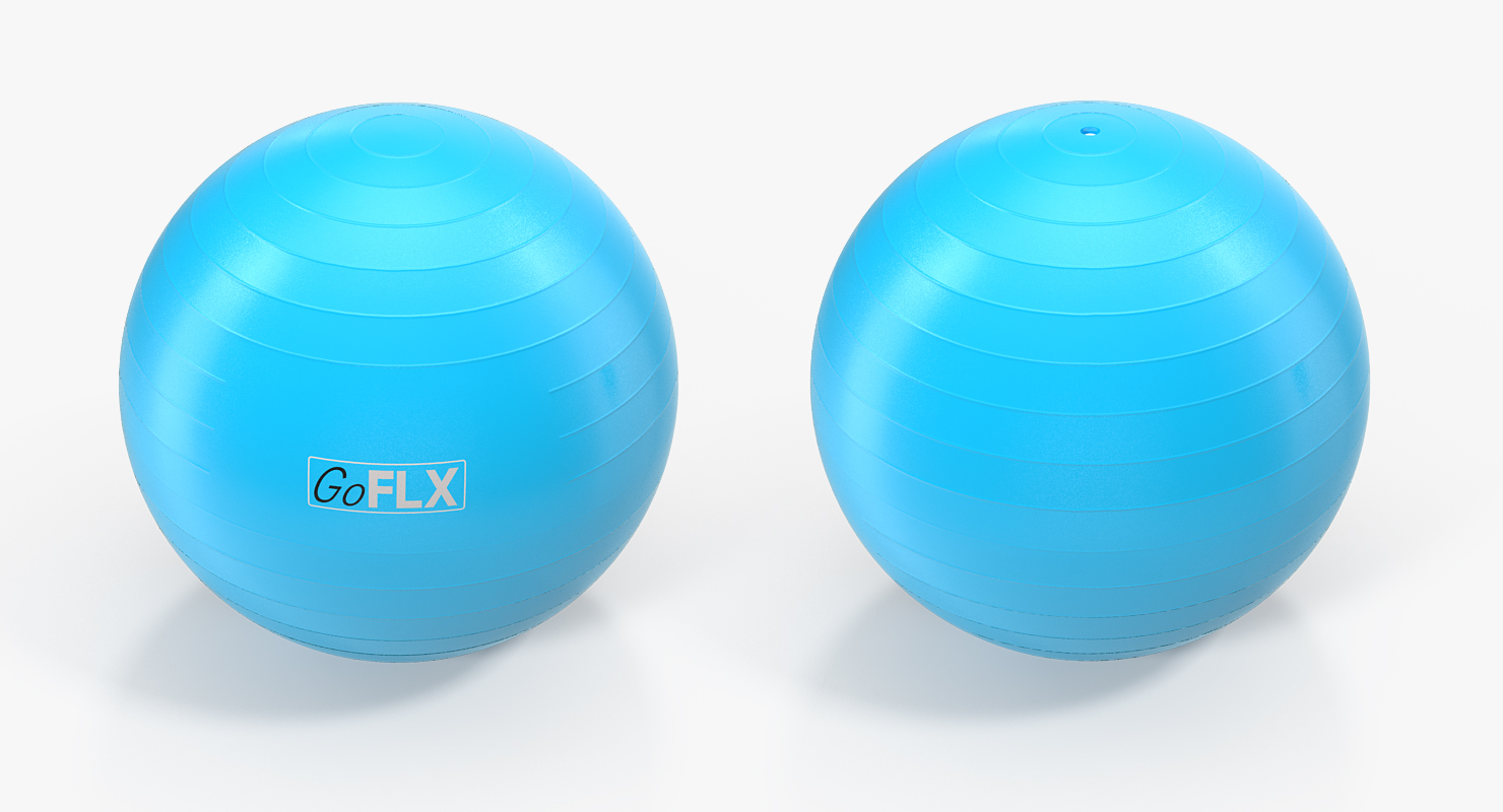 Fitness Stability Ball Blue 3D