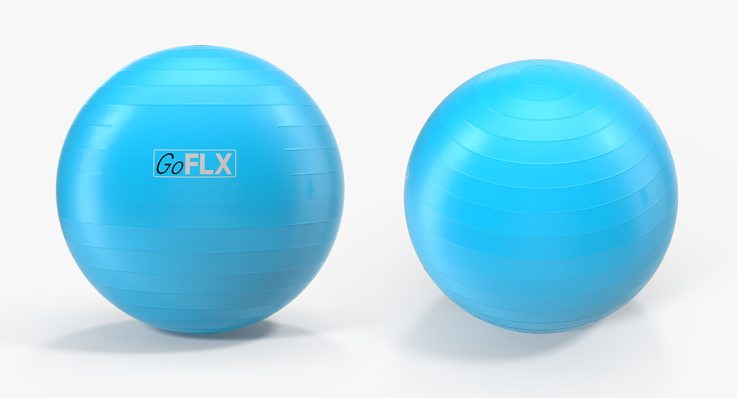 Fitness Stability Ball Blue 3D