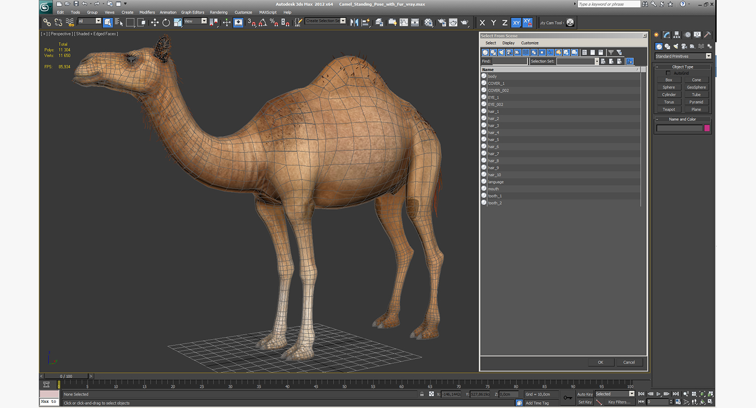 3D Camel Standing Pose with Fur model