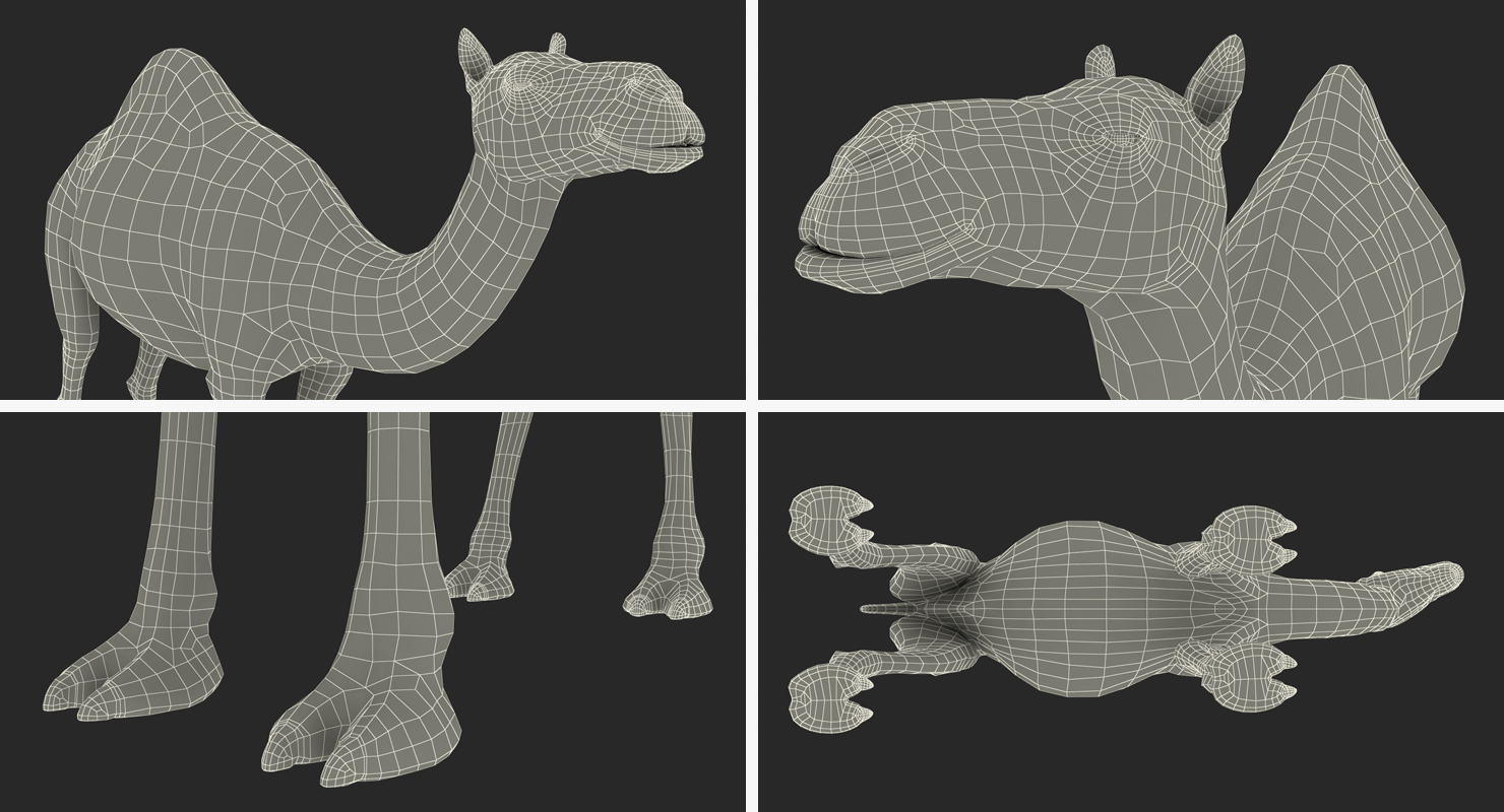 3D Camel Standing Pose with Fur model