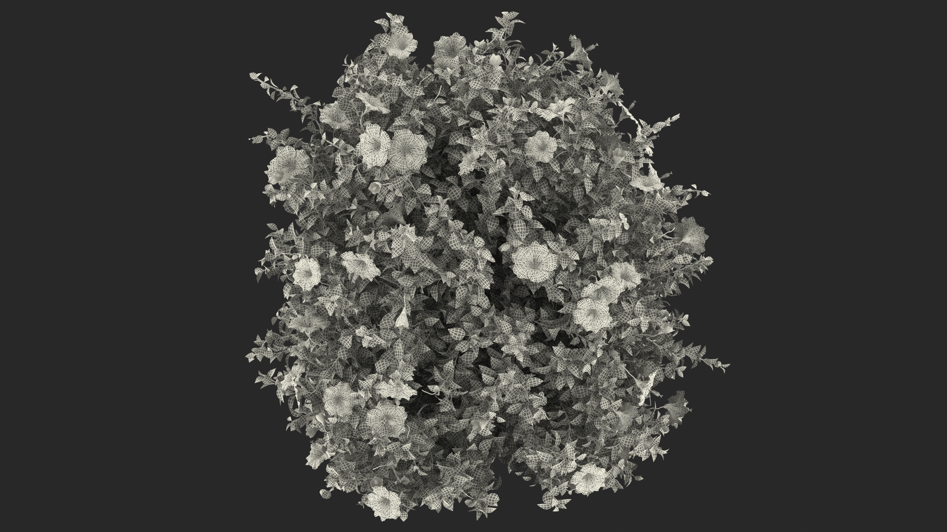 Blooming Hibiscus Bush Pink 3D
