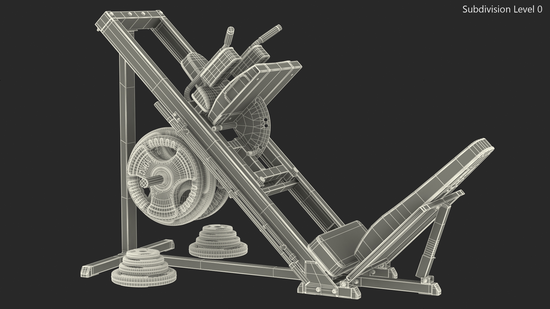 3D Leg Press and Hack Squat Machine with Plates Set model