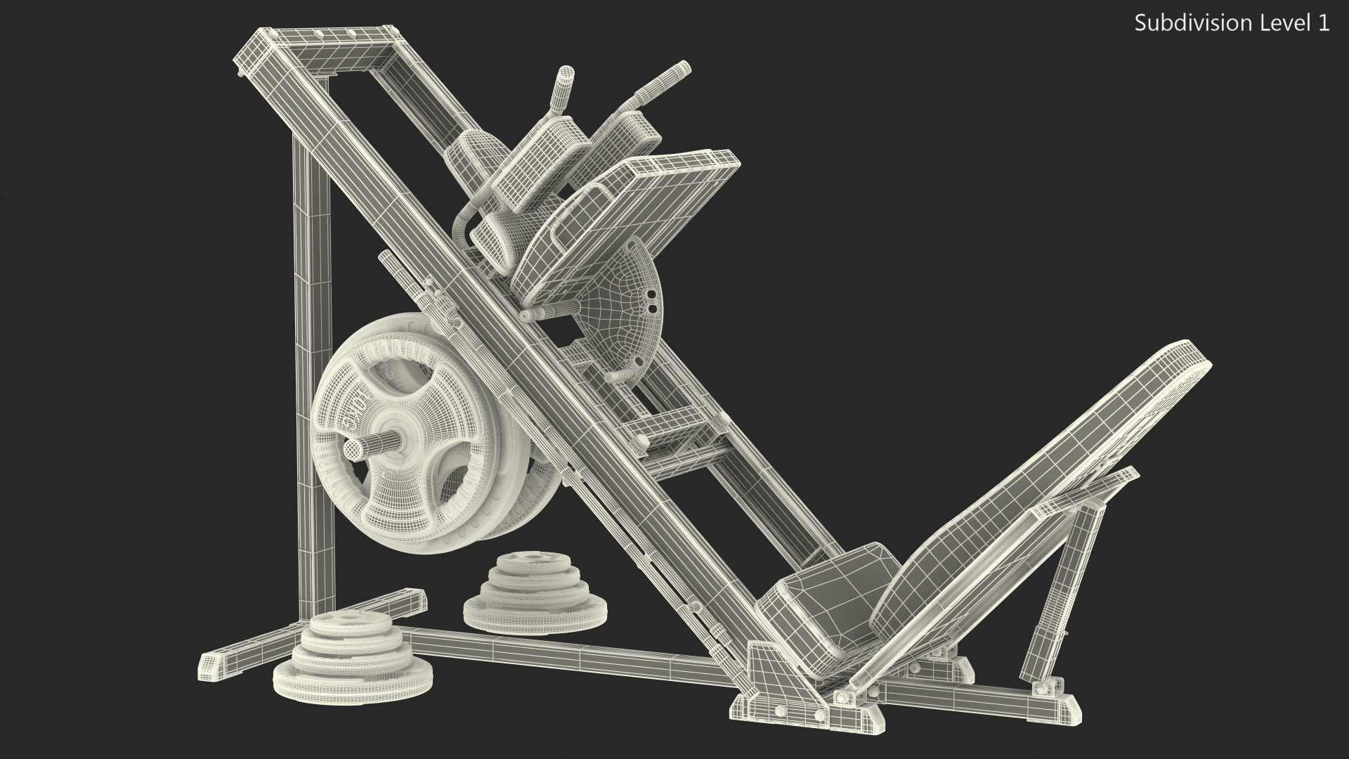 3D Leg Press and Hack Squat Machine with Plates Set model