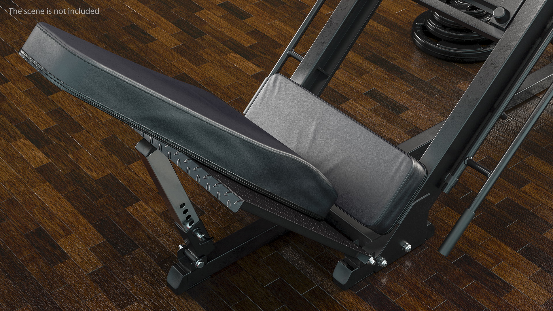 3D Leg Press and Hack Squat Machine with Plates Set model