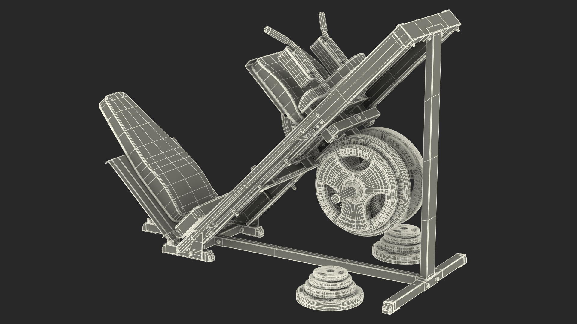 3D Leg Press and Hack Squat Machine with Plates Set model