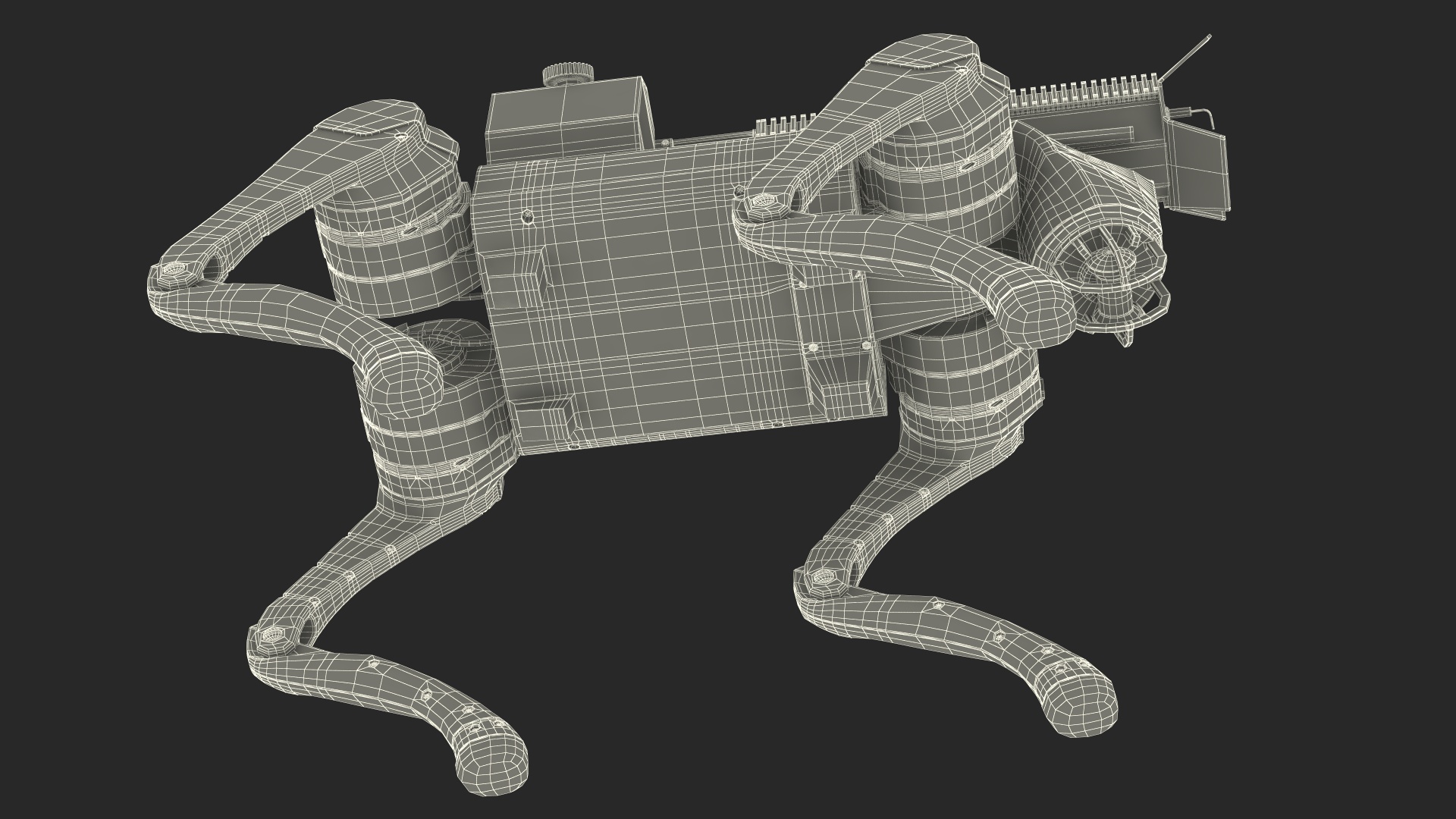 Robot Dog with a Flamethrower 3D model