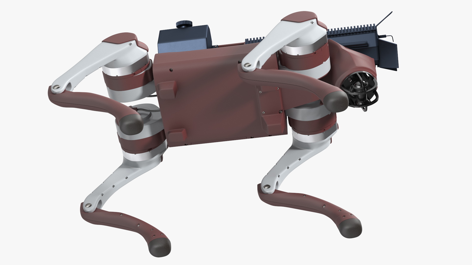 Robot Dog with a Flamethrower 3D model