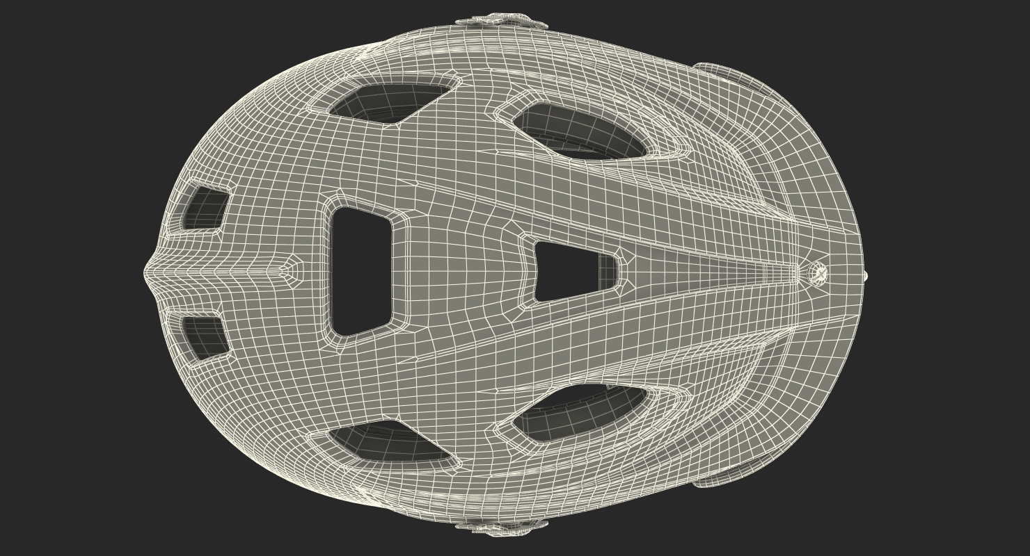 3D model Lacrosse Helmet