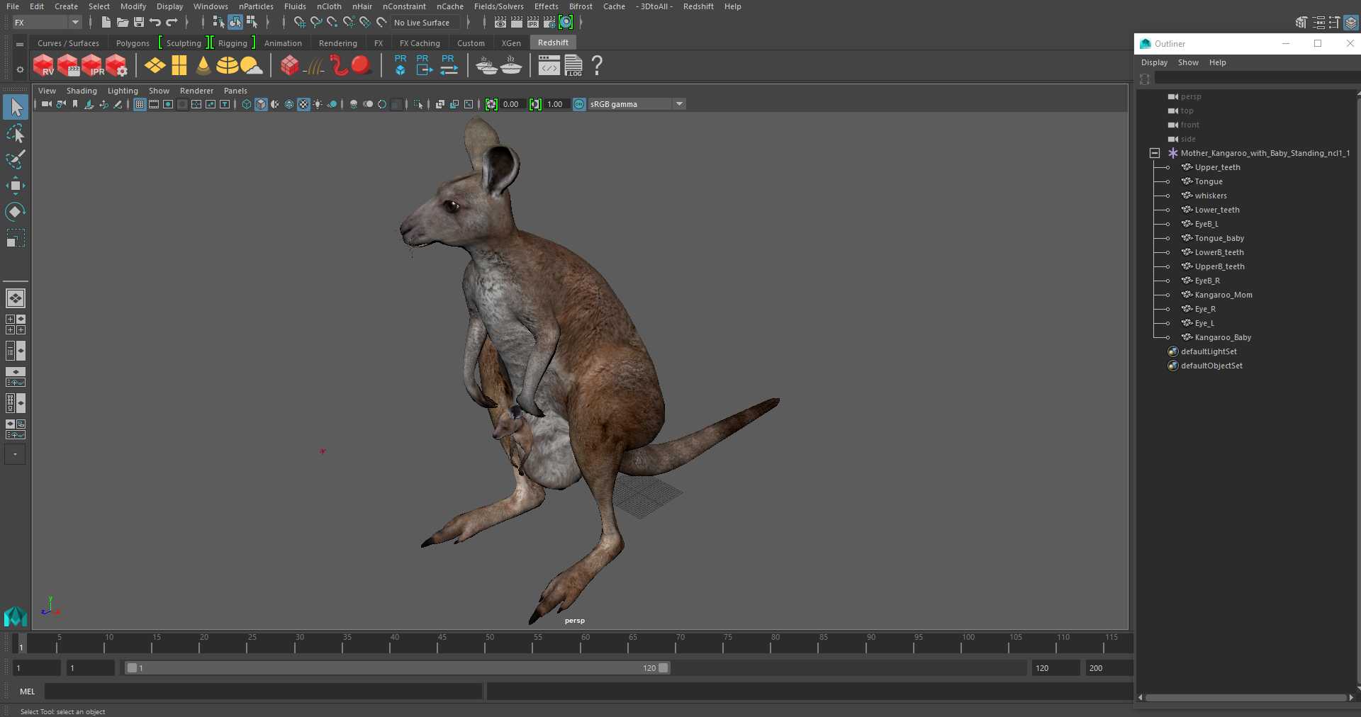 Mother Kangaroo with Baby Standing 3D model