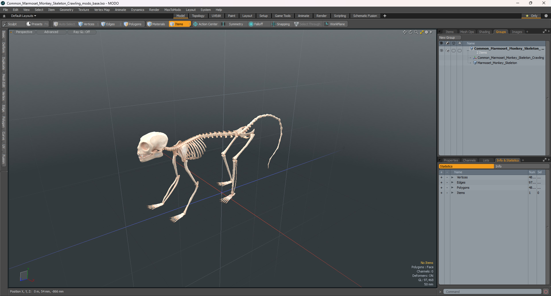 3D model Common Marmoset Monkey Skeleton Crawling