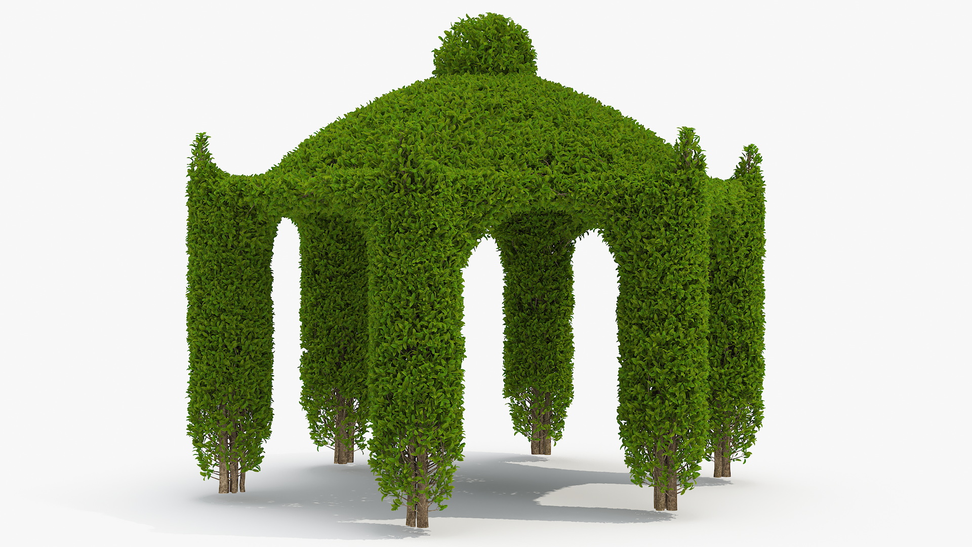 Ivy Gazebo with Garden Furniture 3D