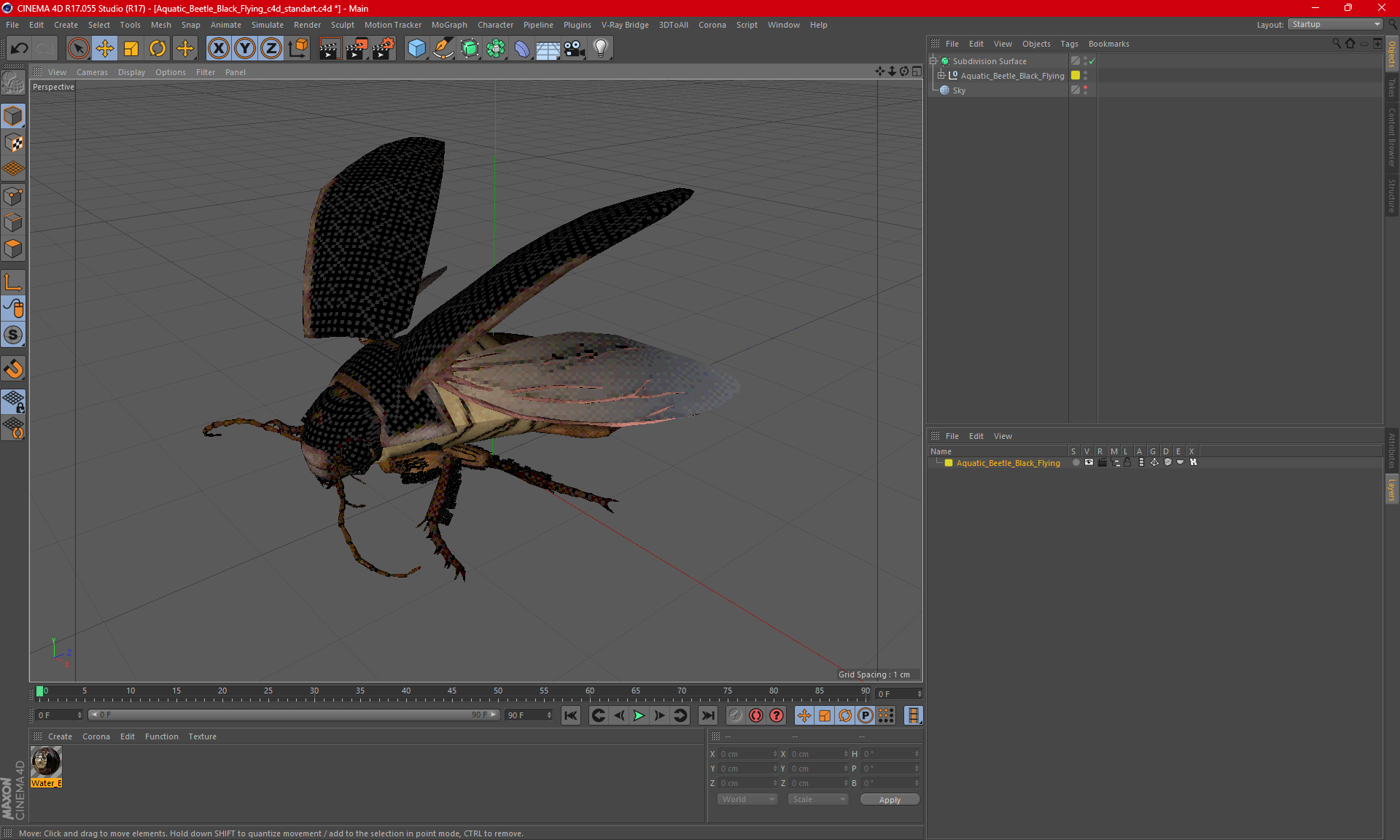 Aquatic Beetle Black Flying 3D