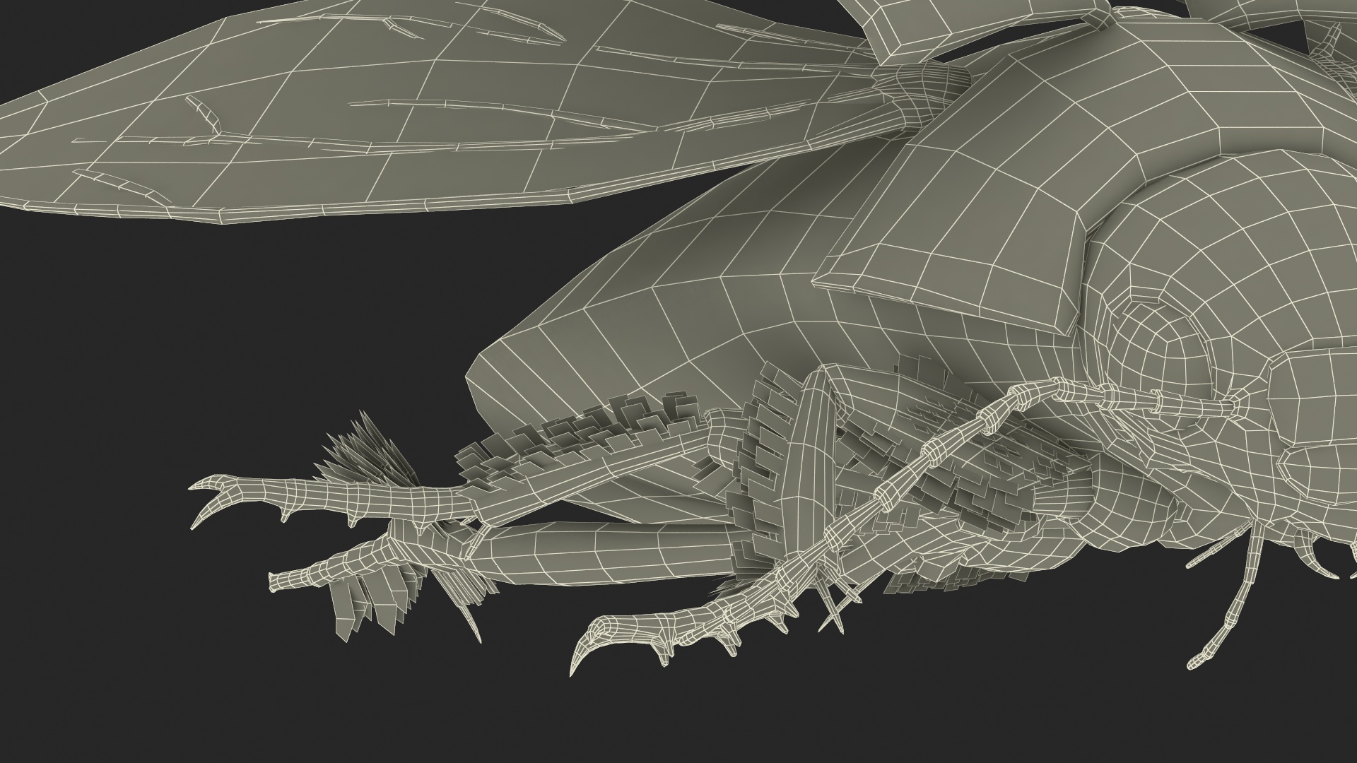 Aquatic Beetle Black Flying 3D