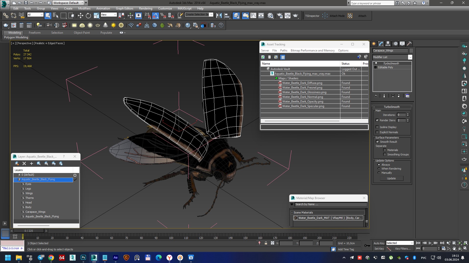 Aquatic Beetle Black Flying 3D