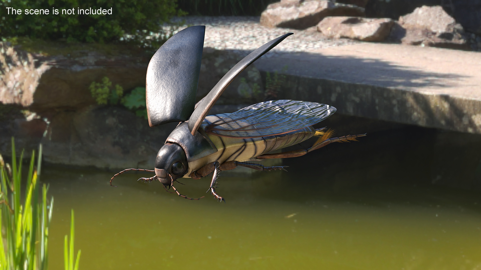 Aquatic Beetle Black Flying 3D
