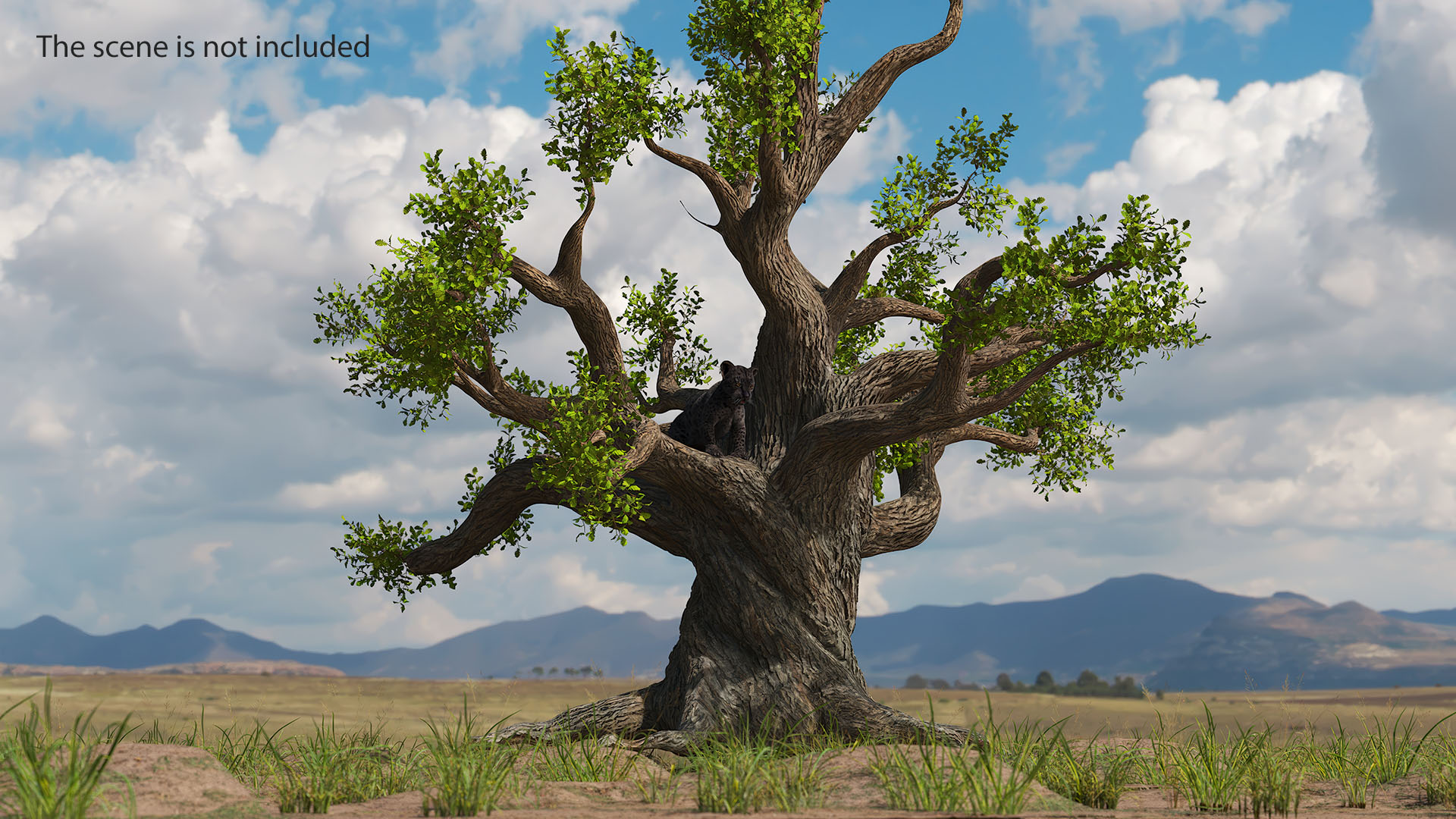 3D model Black Leopard Cub on Ancient Twisted Tree Fur