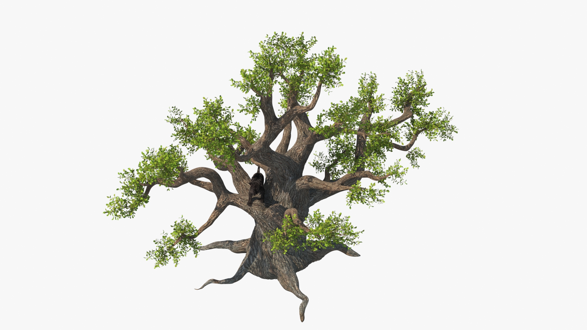 3D model Black Leopard Cub on Ancient Twisted Tree Fur