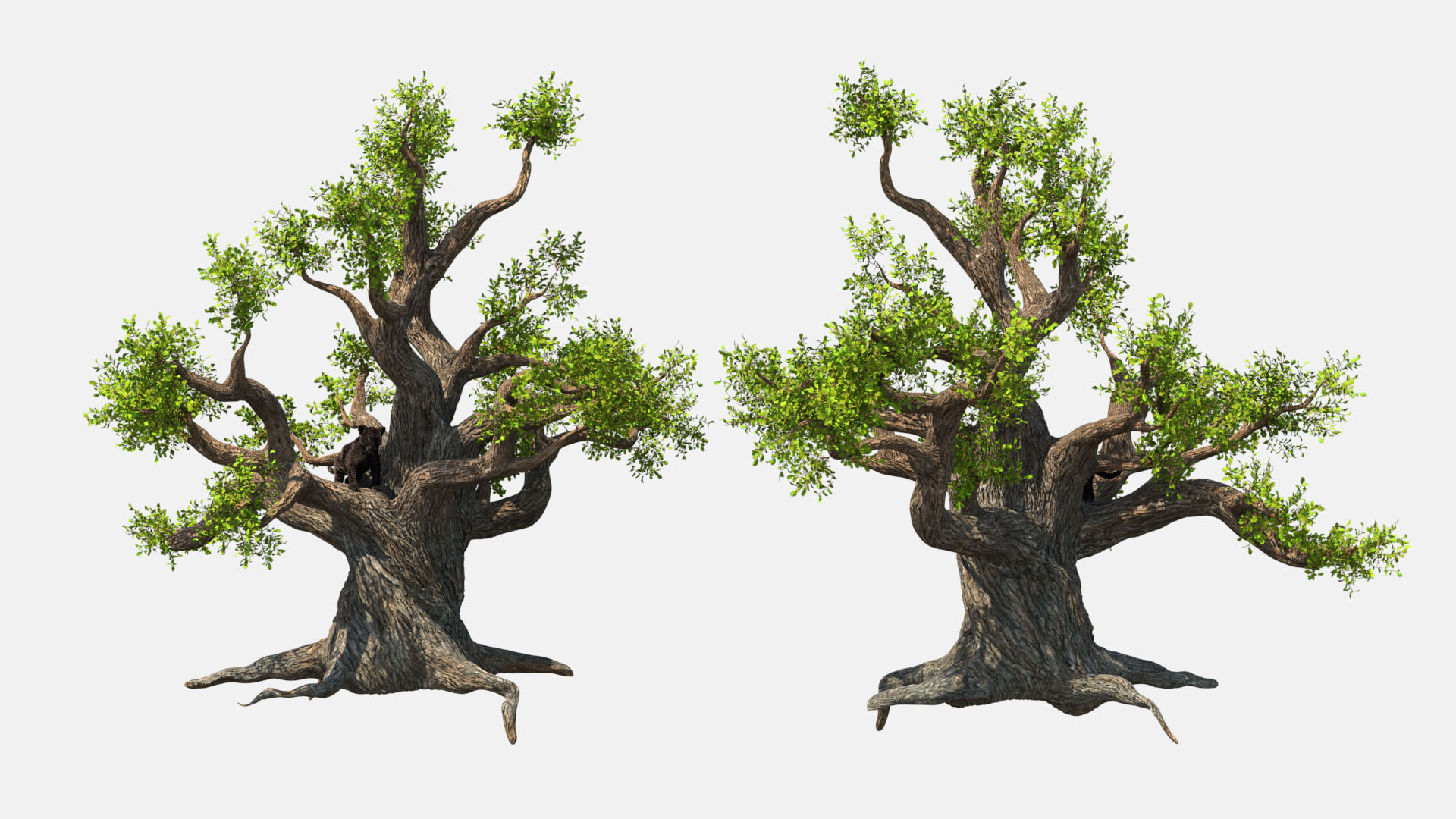 3D model Black Leopard Cub on Ancient Twisted Tree Fur
