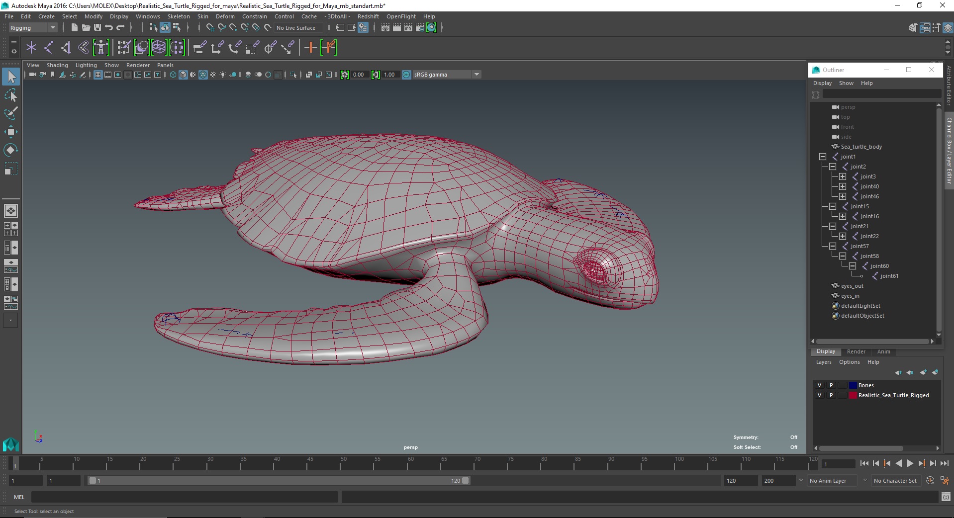3D Realistic Sea Turtle Rigged for Maya