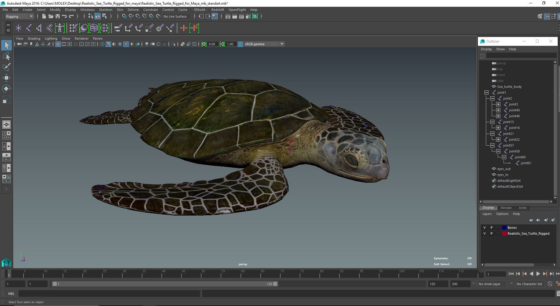 3D Realistic Sea Turtle Rigged for Maya