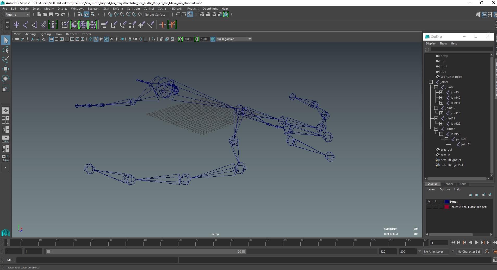 3D Realistic Sea Turtle Rigged for Maya