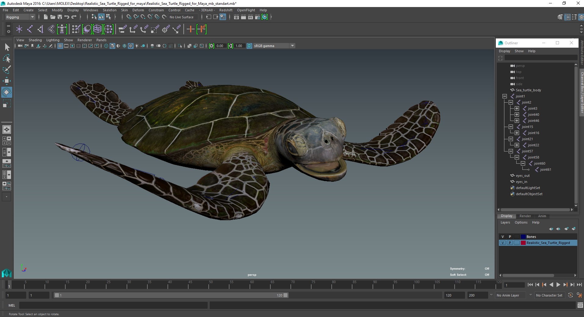 3D Realistic Sea Turtle Rigged for Maya