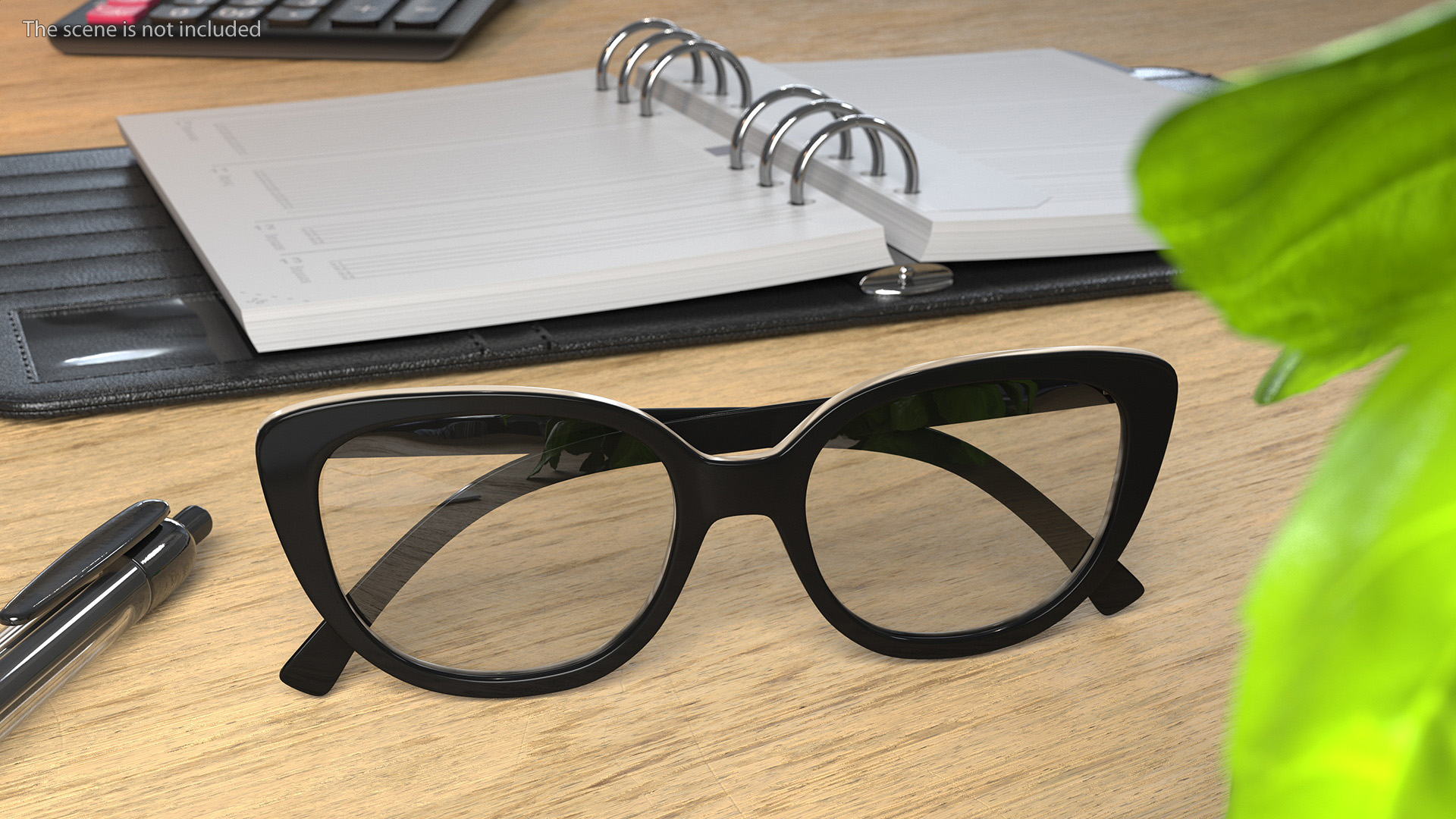 Reading Glasses Folded 3D