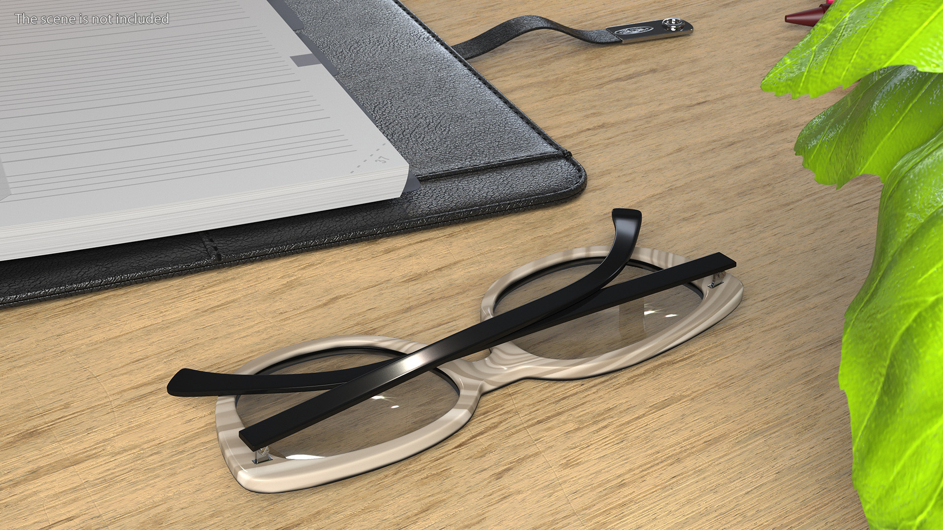 Reading Glasses Folded 3D