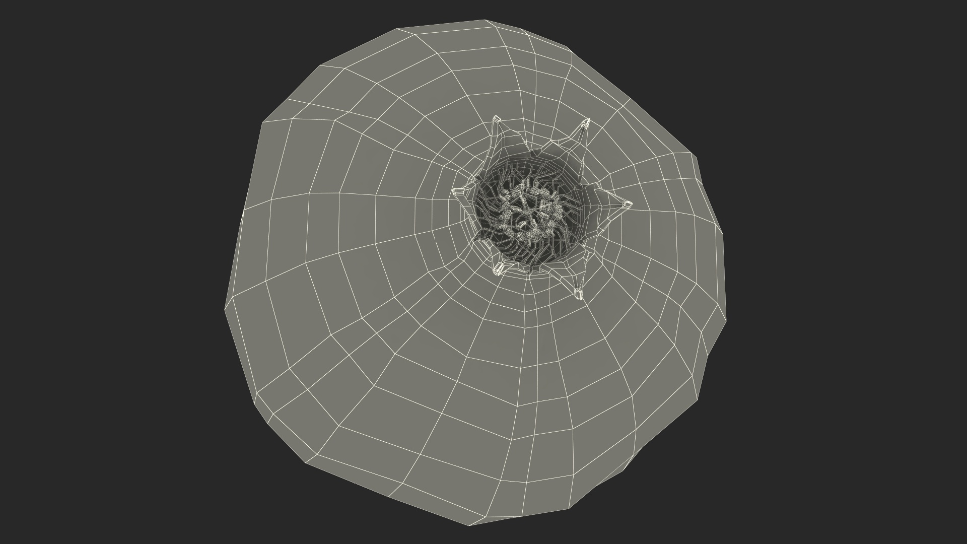 Pomegranate Fruit 3D