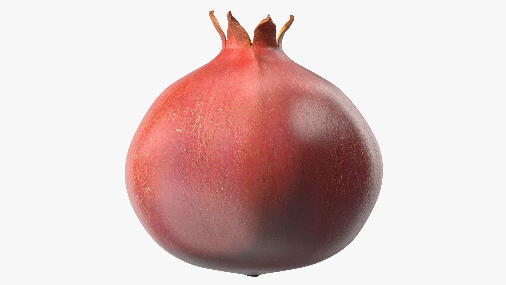 Pomegranate Fruit 3D