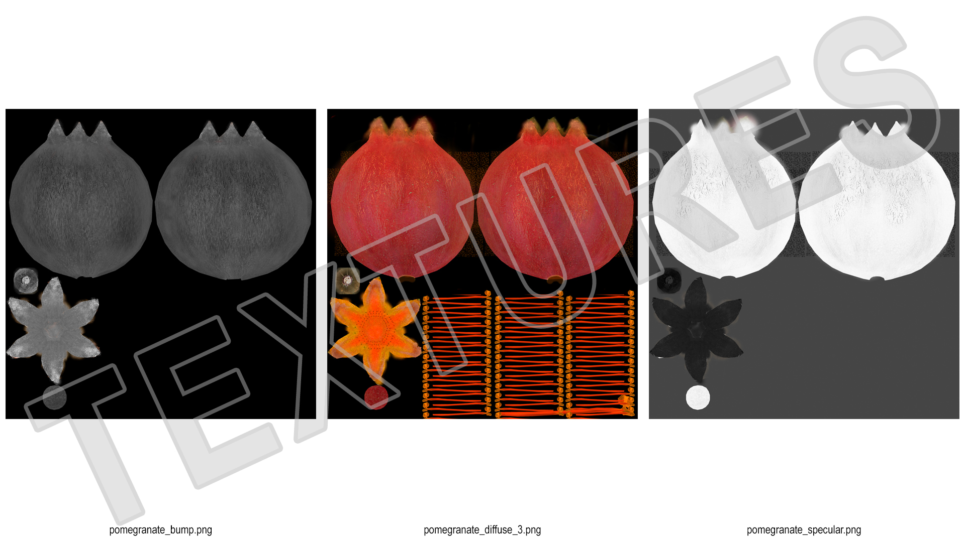 Pomegranate Fruit 3D