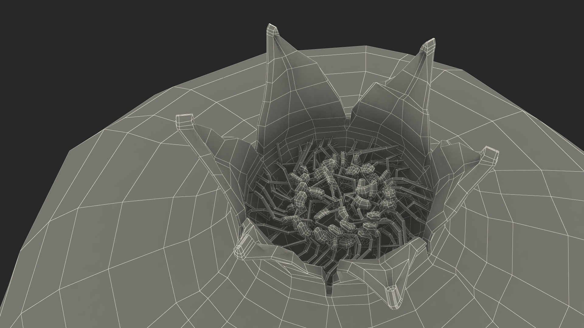 Pomegranate Fruit 3D