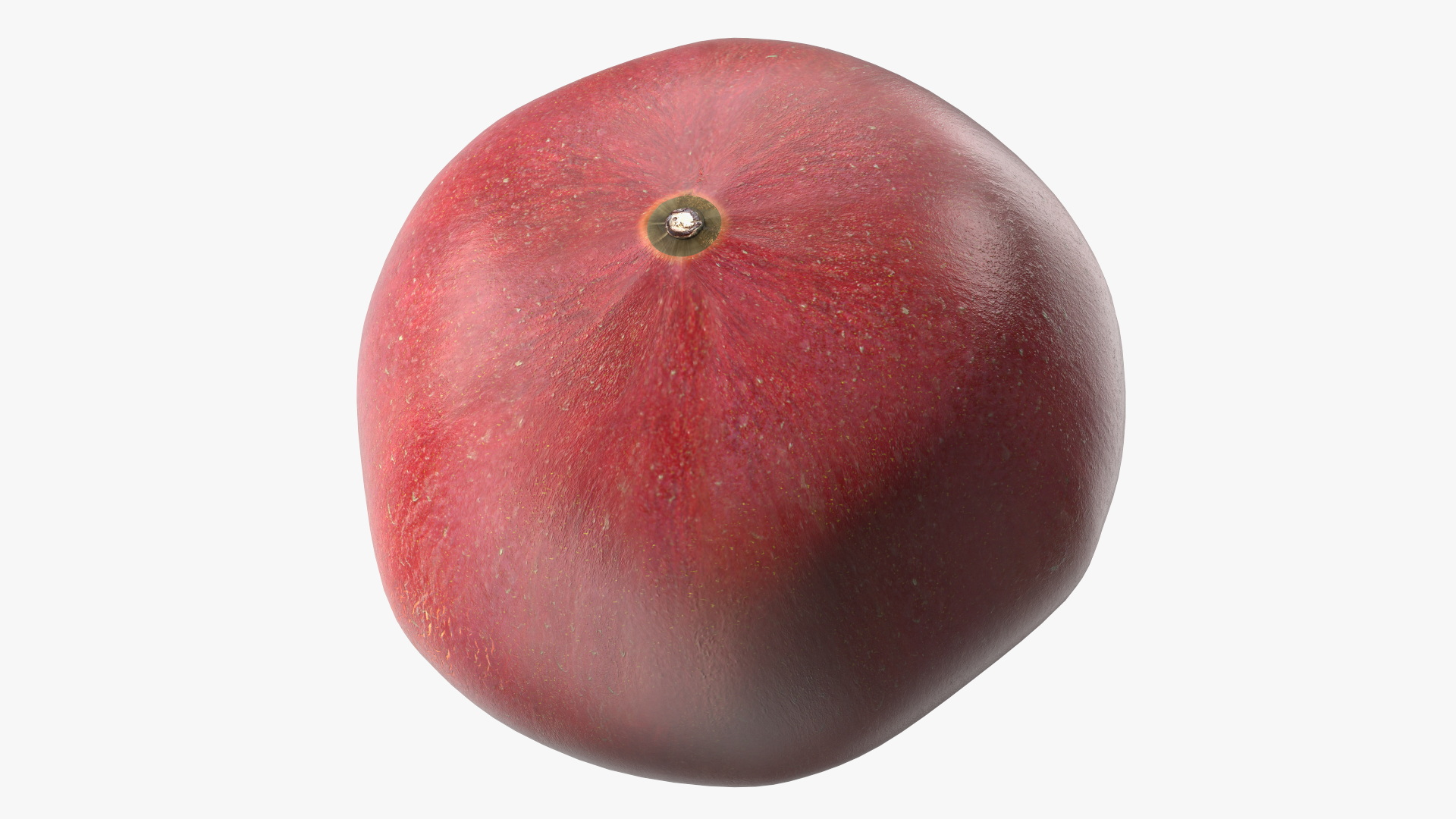 Pomegranate Fruit 3D