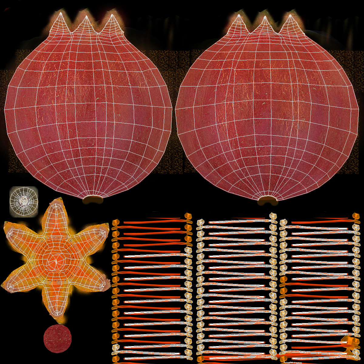 Pomegranate Fruit 3D