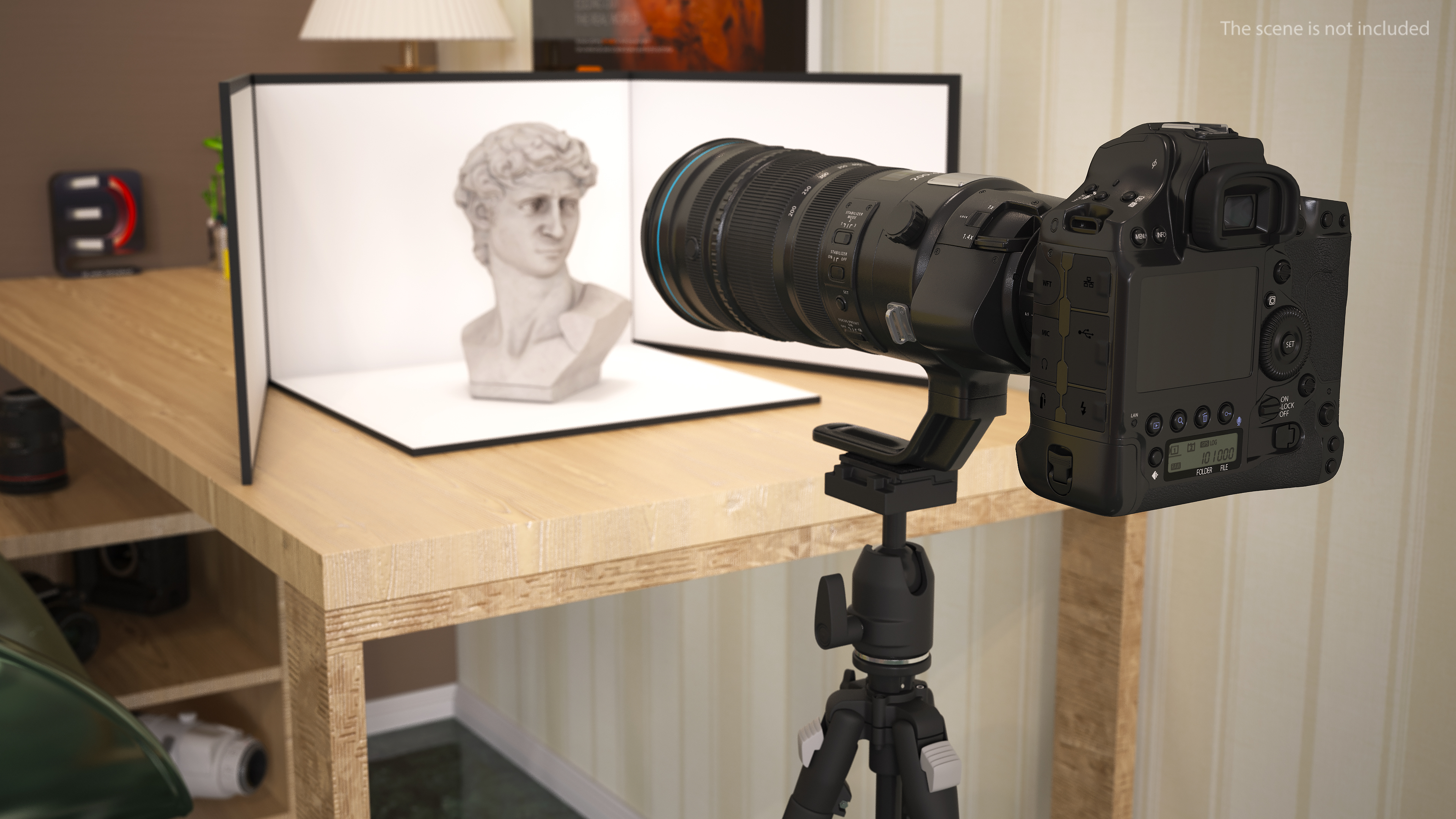 3D DSLR Camera with Zoom 200 400mm on Tripod