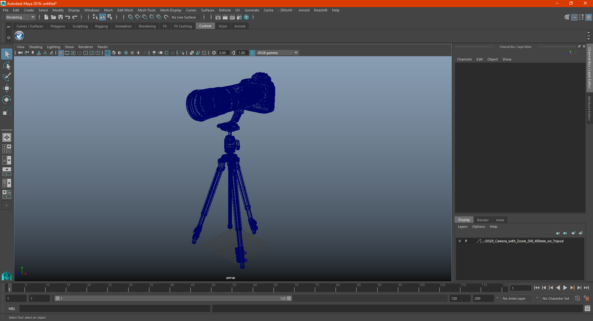 3D DSLR Camera with Zoom 200 400mm on Tripod