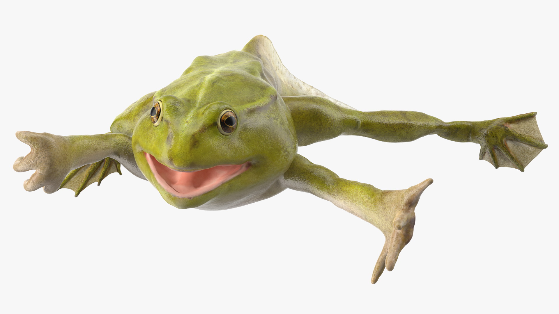 Tadpole with Four Legs 3D