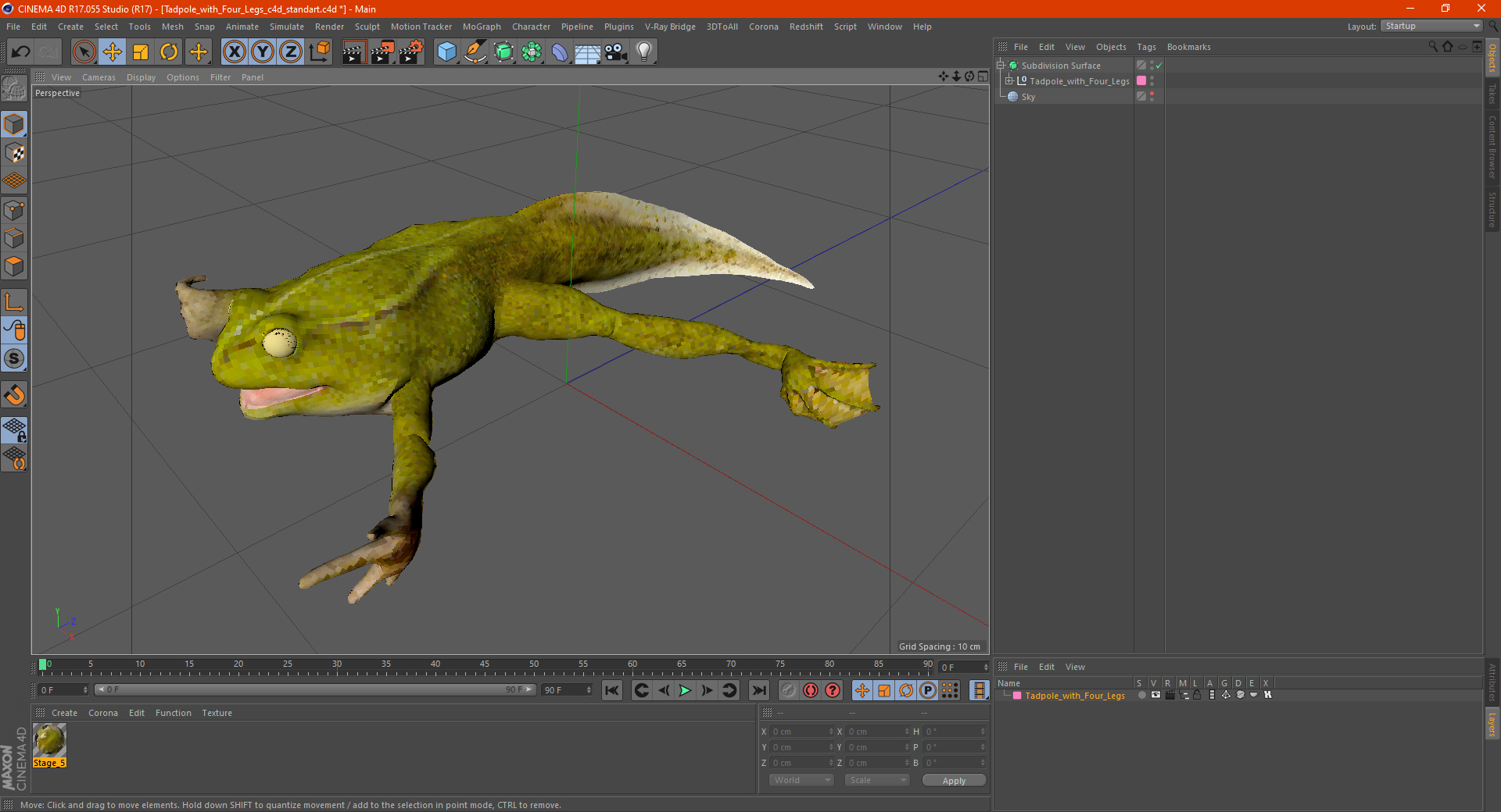 Tadpole with Four Legs 3D