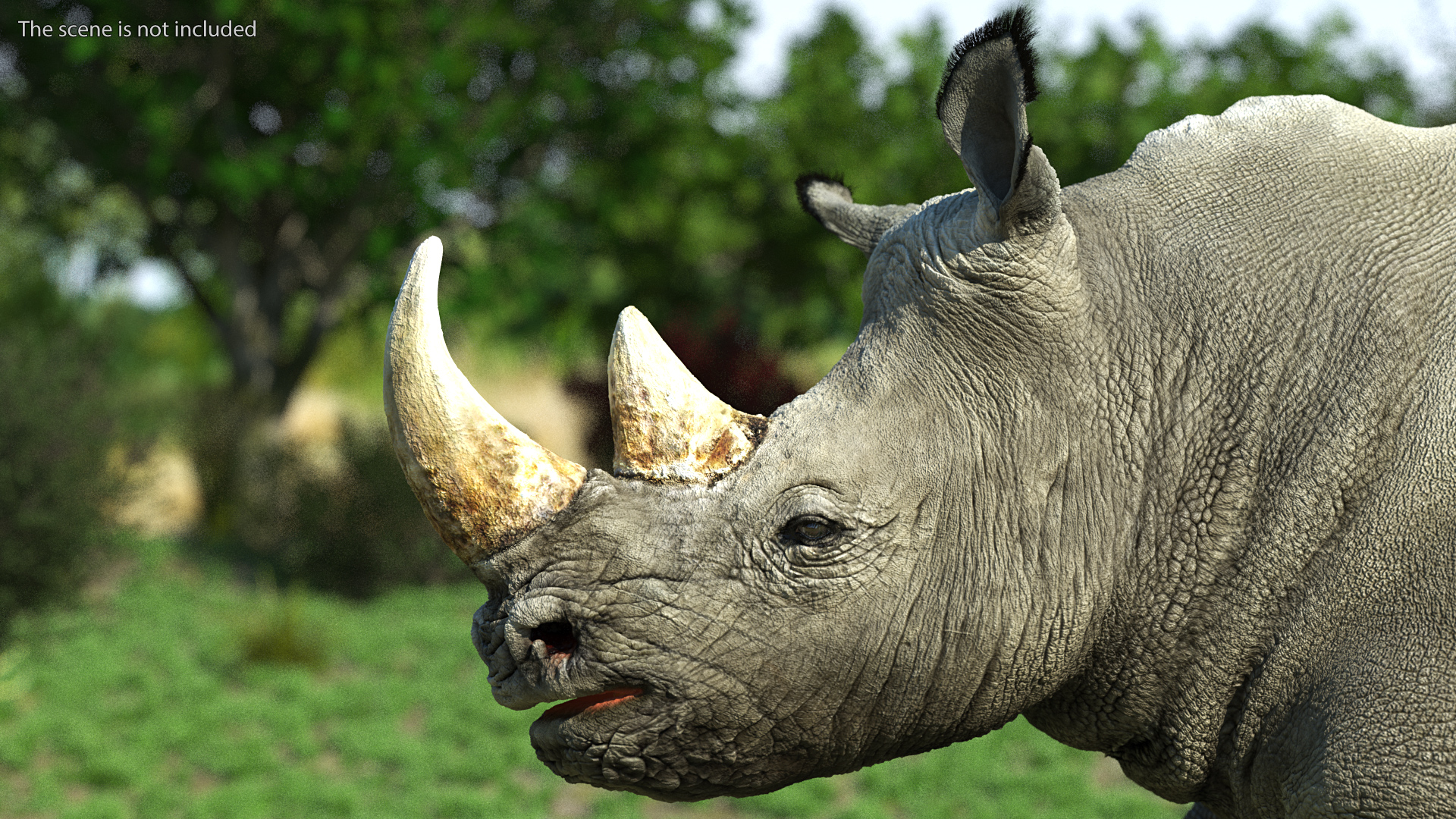 3D Rhino Adult Running Pose Fur model
