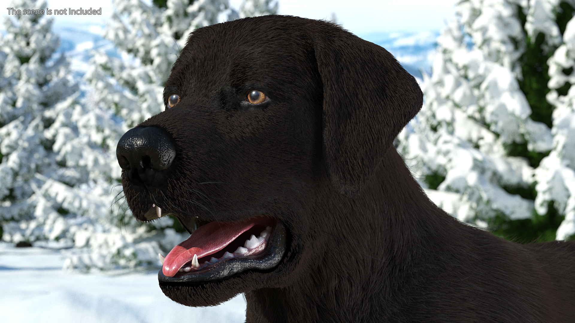 Labrador Dog Black Rigged Fur 3D model