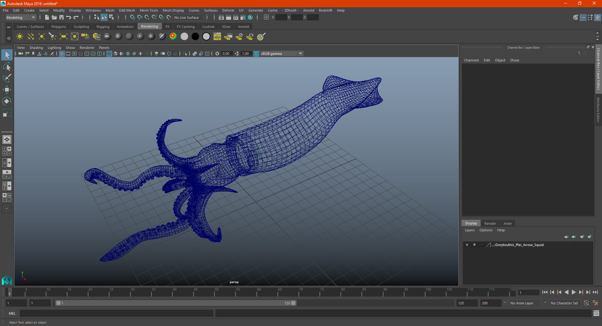 3D Doryteuthis Plei Arrow Squid model