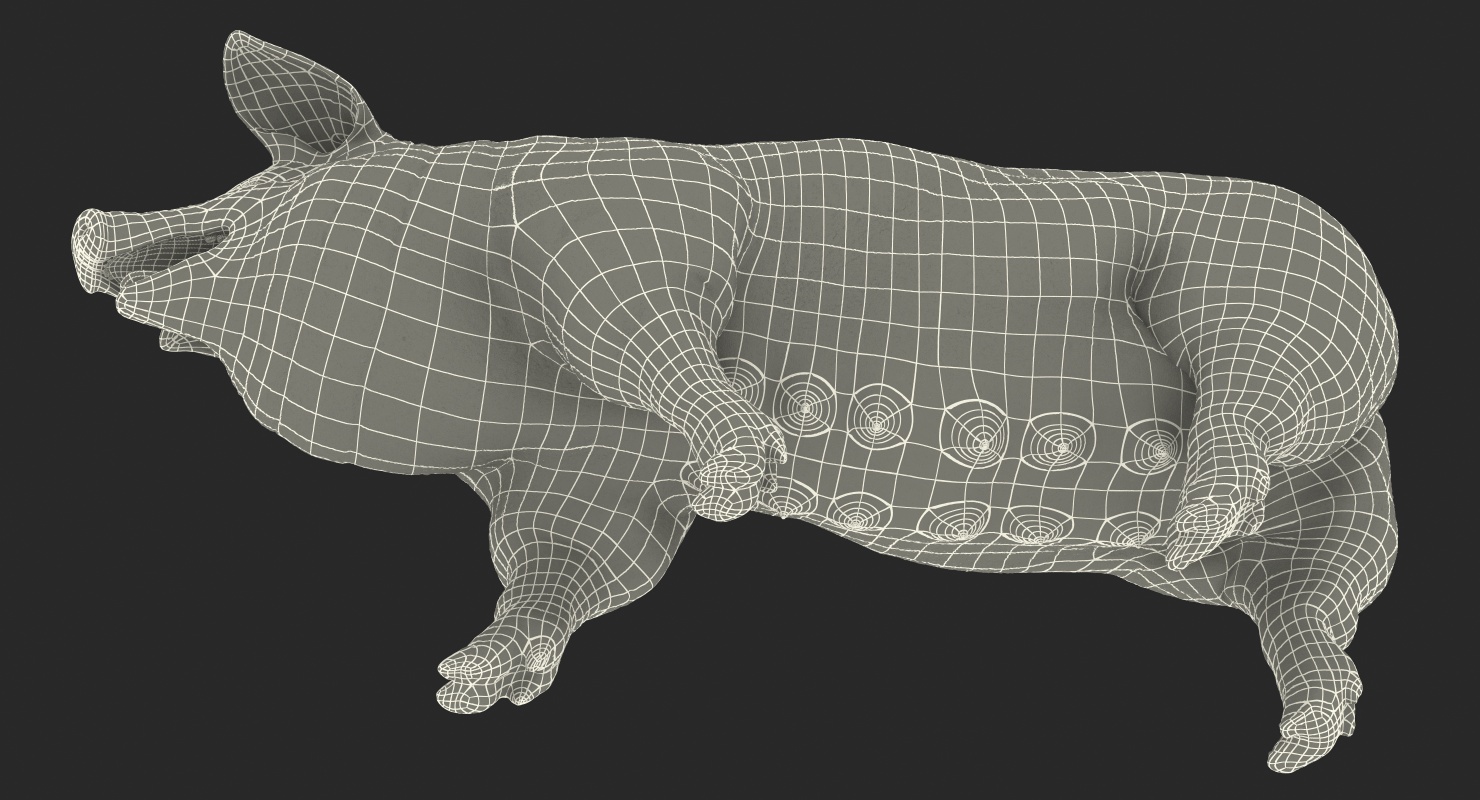 Pig Sow Landrace Walking Pose 3D model