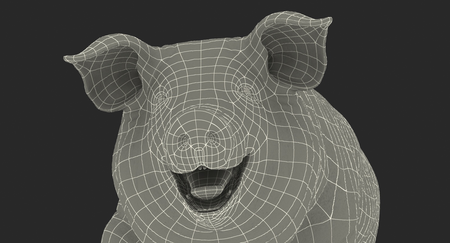 Pig Sow Landrace Walking Pose 3D model