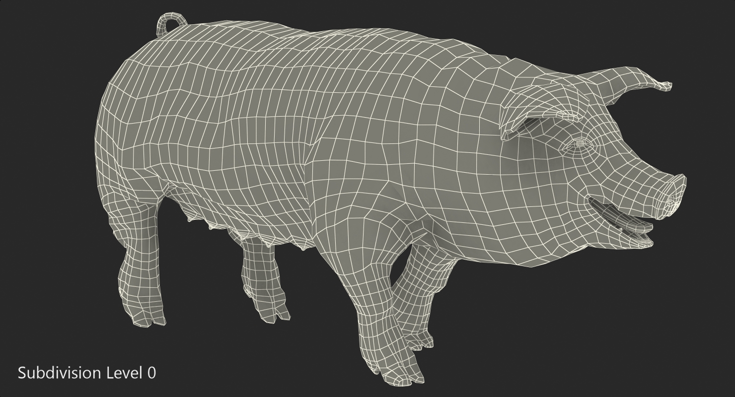 Pig Sow Landrace Walking Pose 3D model