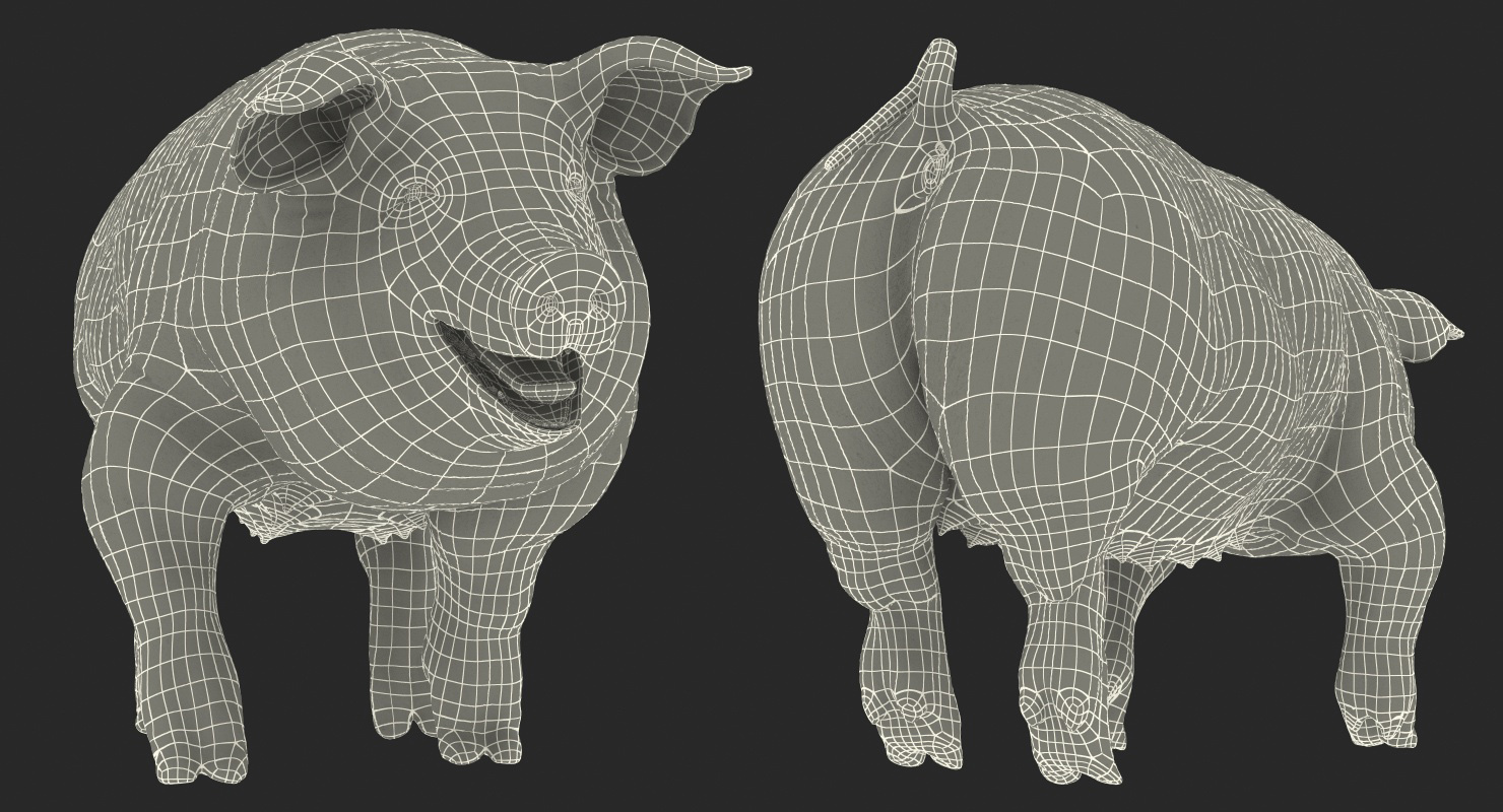 Pig Sow Landrace Walking Pose 3D model