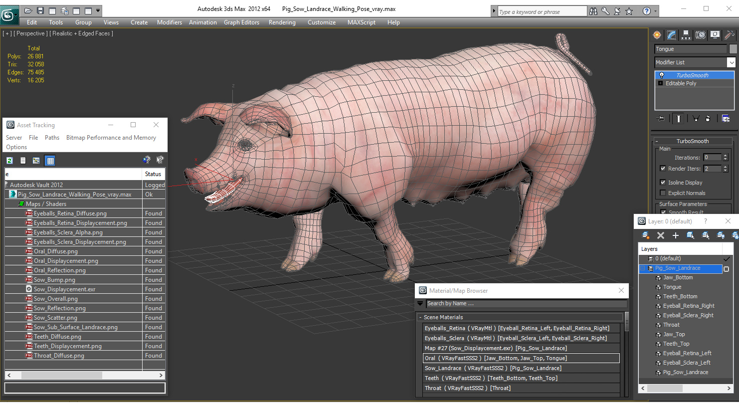 Pig Sow Landrace Walking Pose 3D model