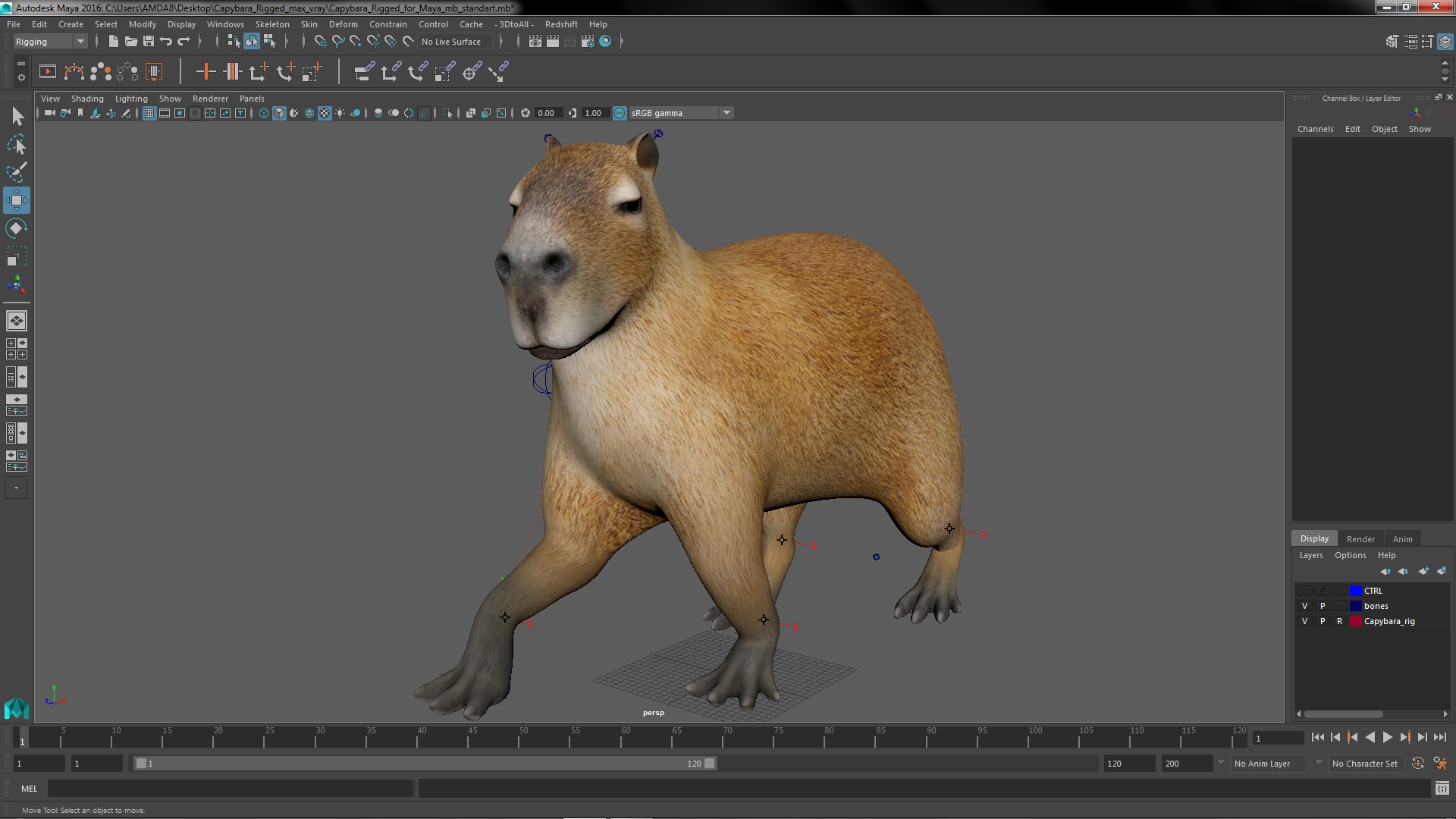 Capybara Rigged for Maya 3D model