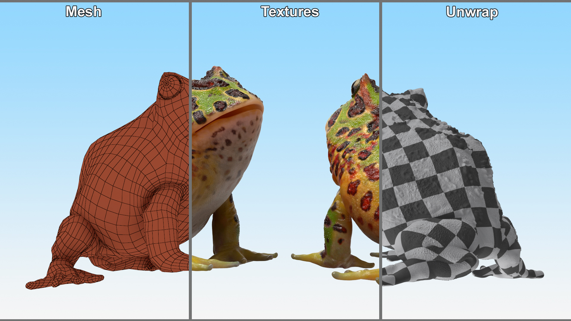 3D Realistic Horned Toad Rigged model
