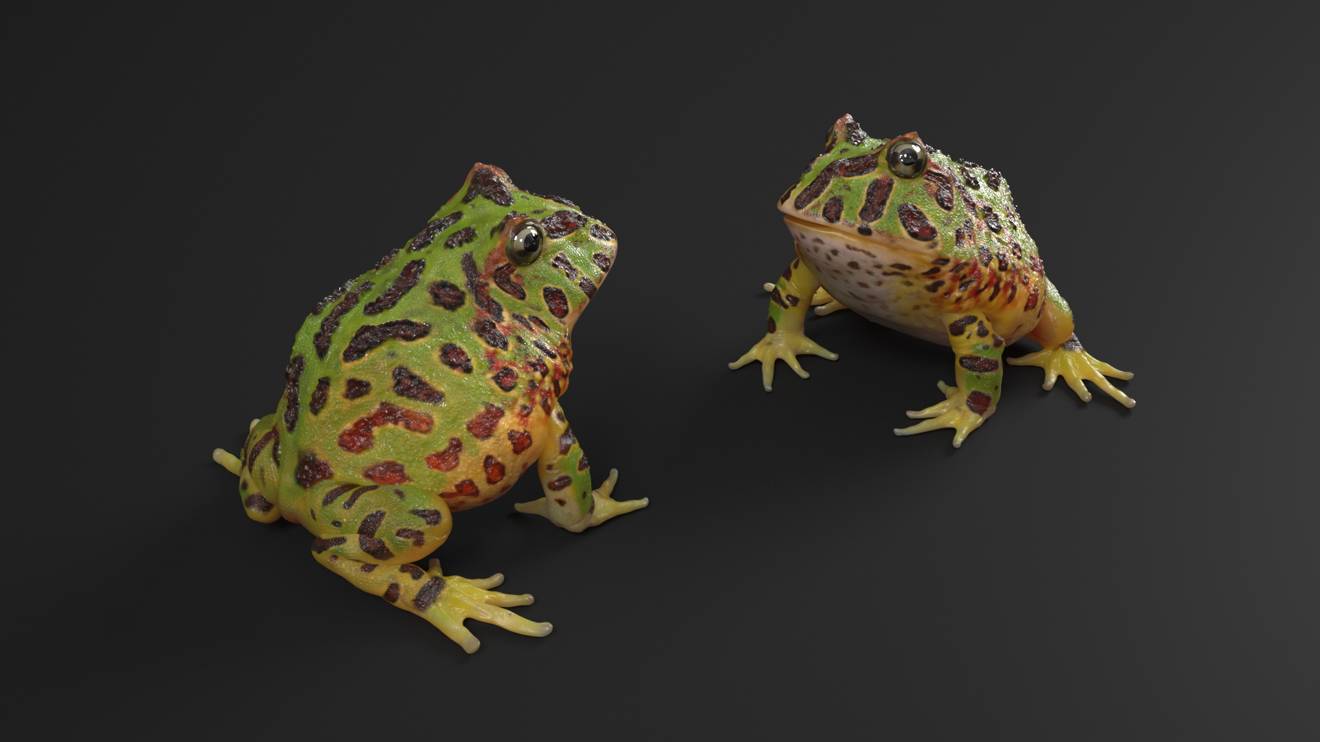 3D Realistic Horned Toad Rigged model