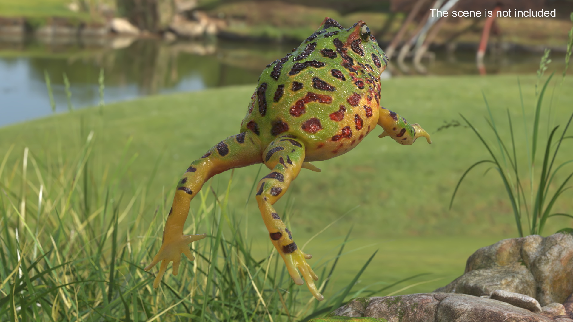 3D Realistic Horned Toad Rigged model